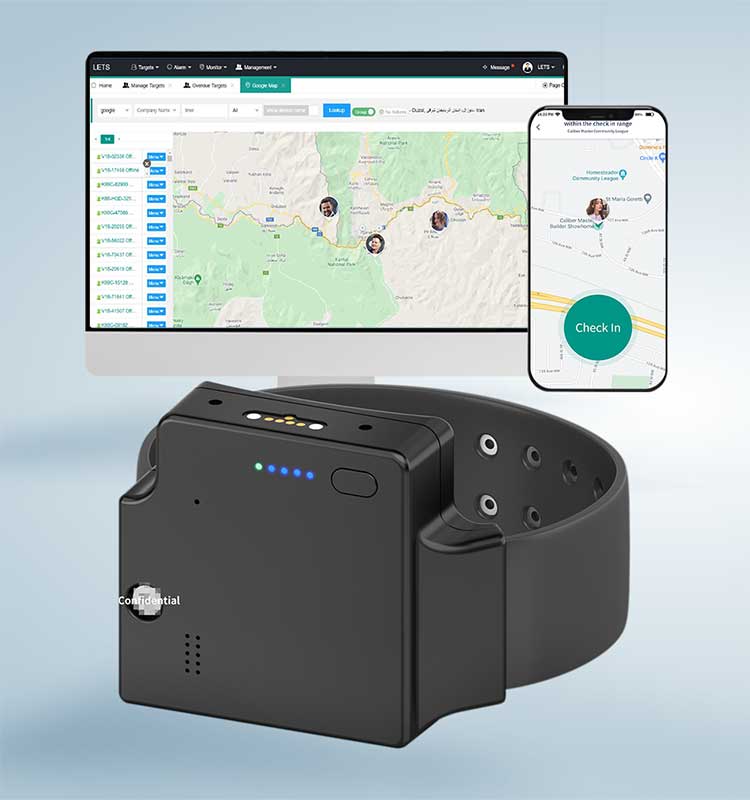 전자 발목 모니터